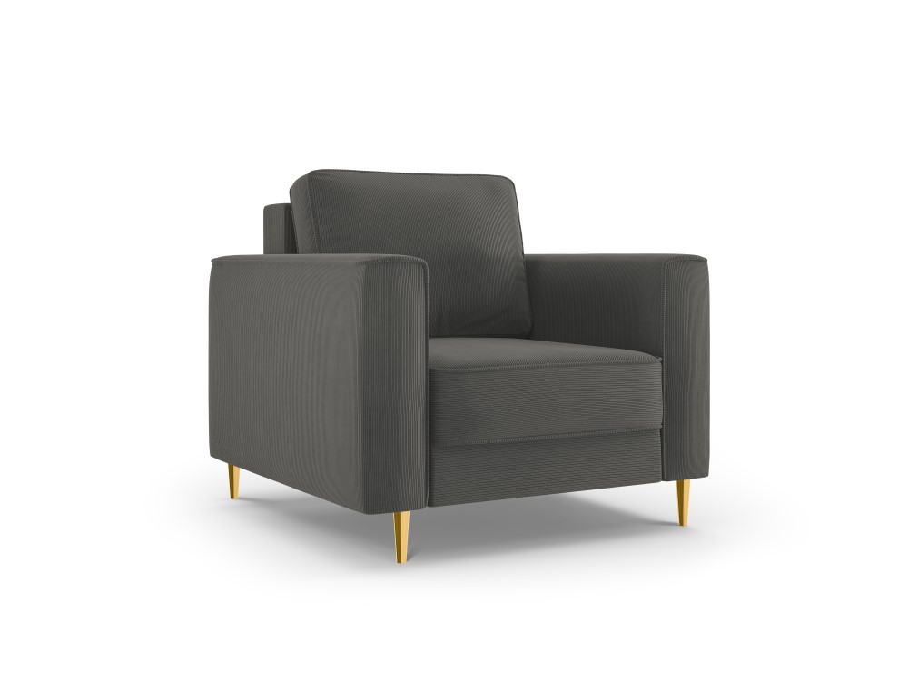 Fotelis (fano) kosmopolitiško dizaino pilka, aukso spalvos metalas, aksomas