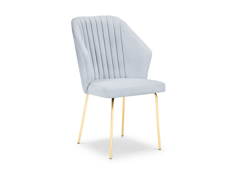 Samta krēsls (borneo) kosmopolītiska dizaina sudraba, samta, zelta metāls